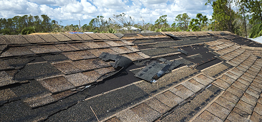 Damaged Shingle Roof